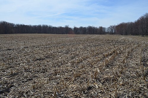 Property photo 160 - REAL ESTATE & PERSONAL PROPERTY AUCTION, 140 Acres offered in 8 Tracts or Combinations in Steuben County